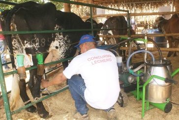 Ministerio de Agricultura anunció la exportación de Material Genético Bovino a Paraguay