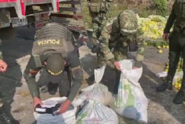 Ejercito y Policía incautan en una carga de maracuyá abundante explosivos y munición tendría como destino hacer terrorismo en Arauca