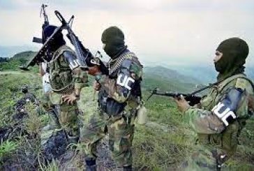 Operación conjunta deja abatidos 10 narcoterroristas de las FARC.