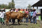 Prohibir la exportación de ganado, trae consecuencias funestas contra 350.000 familias pequeñas ganaderas, denuncia Fedegan