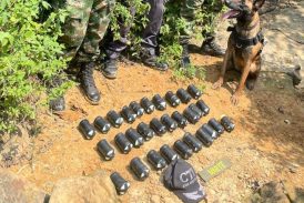 Incautan 30 minas antipersonales en zona rural de Cúcuta, Norte de Santander