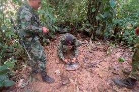 En vereda Mojaudó, municipio del Alto Baudó, Chocó, tropas del Ejército destruyen un campo minado